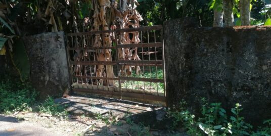 Residential land for sale Ollur Anakallu. Good residential land with only 6km from thrissur city.Total land area is of 16 cent.Peaceful area with bus route. Compound wall with gate is availible. The rate is only 6.5lakhs per cent (Negotiable)