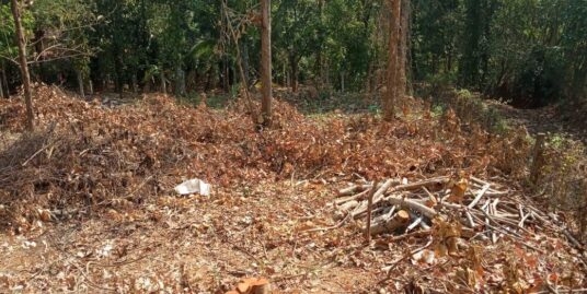 Land for Sale in Karukaputhoor, Palakkad