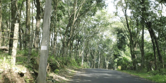 26 cent Residential plot for sale in Ezhumatoor , kerala