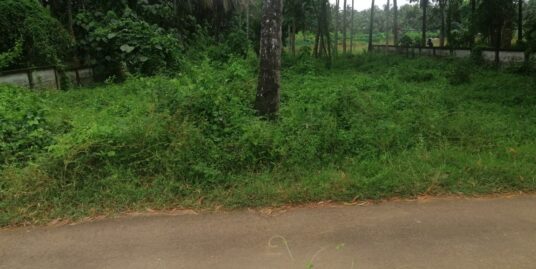 Residential land for sale in MulankunnathuKavu, Thrissur