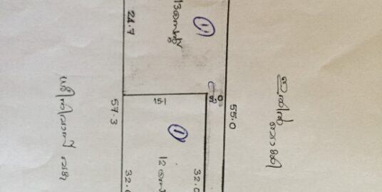 25 Cents Land for Sale Near Chinakkathoor Kavu, NSS college and KINFRA in Palakkad District