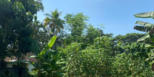 Land for sale in Thiroor.