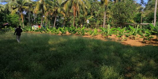 48.5 cent land for sale in Varadiyam Thrissur.
