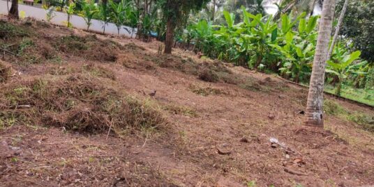 15 cents of residential plot in Kochupally,Udayamperoor
