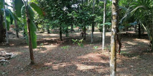 5 bhk house for sale in mg kavu,thrissur .