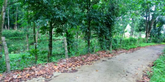 Land for Sale in Kalathipady,Kottayam