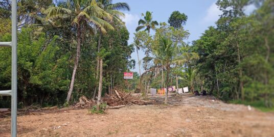 35 Cent land at Chettikulangara, Kannamangalam Thekku
