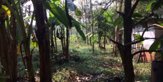 Residential Plot with and without house in Vazhithala