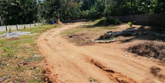 43 cent Residential cum Commercial land for sale in Parlikkad