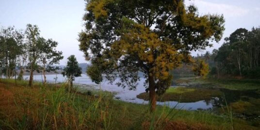 Lake View Land For Sale in Wayanad Near Karapuzha Dam