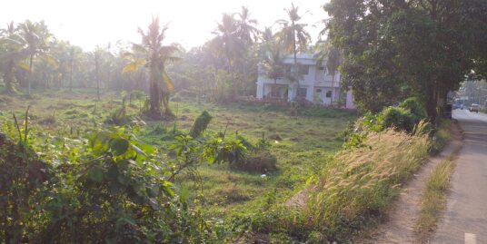 25 Cent for 45 lakhs at Kannur-koothuparamba main road, Mavilayi, Kannur