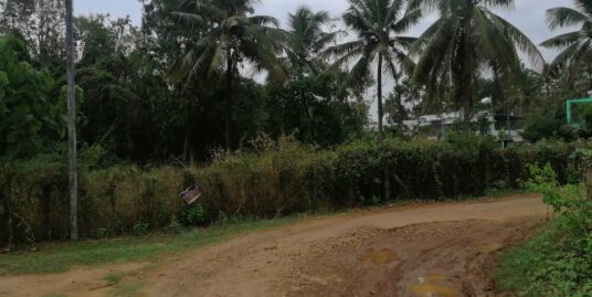 7.5 Cents Land for sale in Poochinnipadam Thrissur.