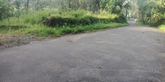 94 cents plot for sale in Perumbavoor, Ernakulam