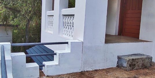 Two Storeyed House For Sale In 30 Cents Of Plot At Chennithala