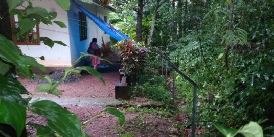 12 cent Agriculture Land for sale in Chingavanam, Kottayam