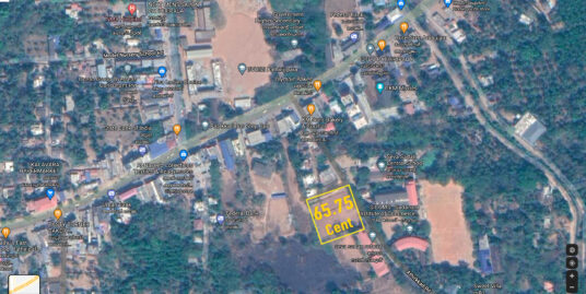 COMMERCIAL LAND FOR SALE IN PATHIRIPALA (PALAKKAD)