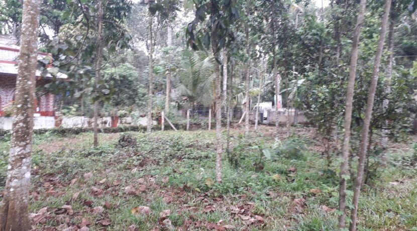 20201207_153213