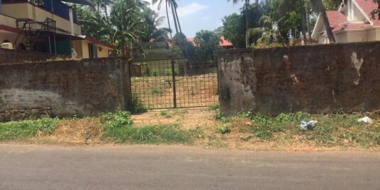 Residential land for sale pattutaikkal.