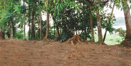 23 CENT NEAR PERIYAR RIVER SIDE : ALUVA-PERUMABVOOR MAIN ROAD