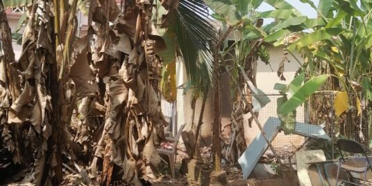 5.5 cents at Kottayam town