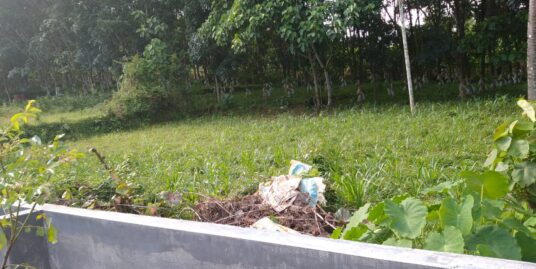 12 cent land for sale in Chalakudy near kormola church.