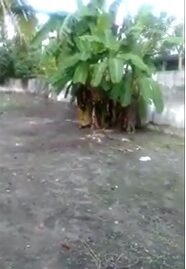 18 Cents Gated Property In Maruthadi Near St. Joseph’s Chapel.