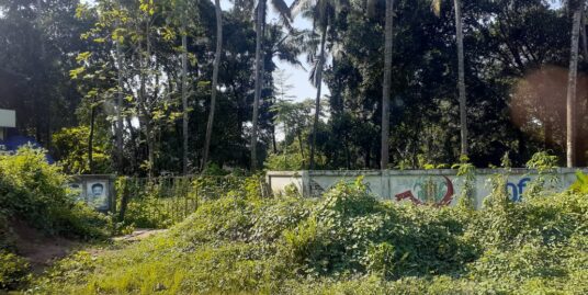 38 cent residential land for sale in Chettupuzha