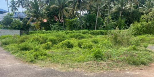 14 cent residential land for sale in Kariattukara
