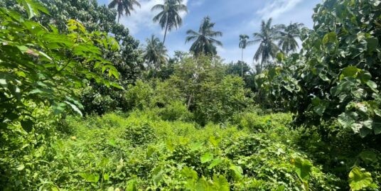 14.5 cent residential land for sale in Kariattukara