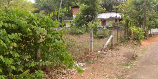 Lands of 15.5 cent for sale in Ollur,Thrissur.