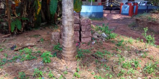 6.94 Cent Residential Land For Sale In Vadakara Municipality, Kozhikode