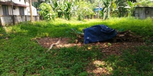 2 Lands of 12 cent and 15 cent for sale in Ramavarmapuram