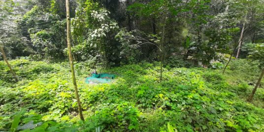 Agricultural land for sale in the Kottayam