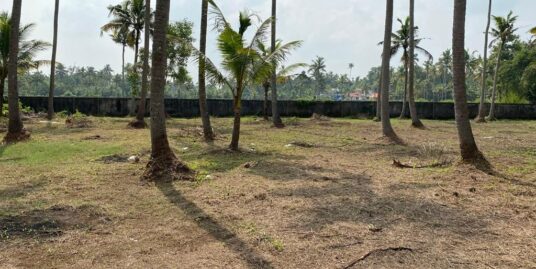 Residential Land for sale in Padiyoor, Irinjalakkuda