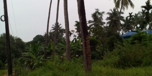 8 cent plot for sale in perambra chalakudy