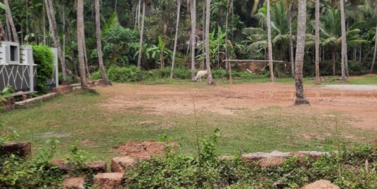 16 Cents Residential Land for sale at Pathiyarakkara – Maniyoor