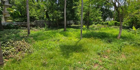 Residential Land for sale in kuriachira