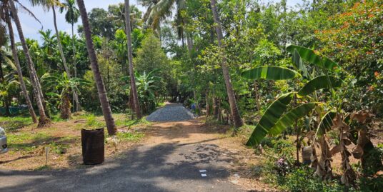 Residential land for sale in Ollur